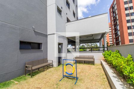 Apartamento para alugar com 57m², 2 quartos e 1 vaga Apartamento para alugar com 57m², 2 quartos e 1 vagaEspaço Pet