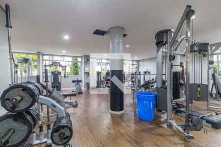 Apartamento para alugar com 70m², 3 quartos e 1 vaga Apartamento para alugar com 70m², 3 quartos e 1 vagaÁrea comum - Academia