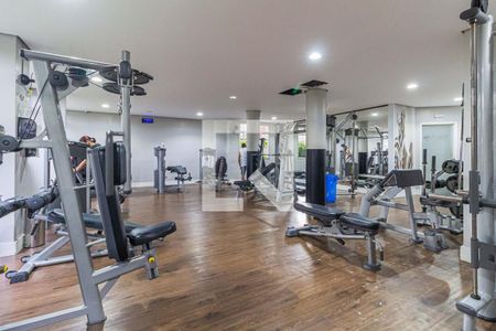 Apartamento para alugar com 70m², 3 quartos e 1 vaga Apartamento para alugar com 70m², 3 quartos e 1 vagaÁrea comum - Academia