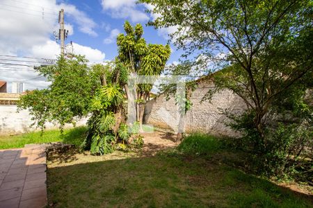 Casa para alugar com 450m², 3 quartos e 7 vagasÁrea Externa