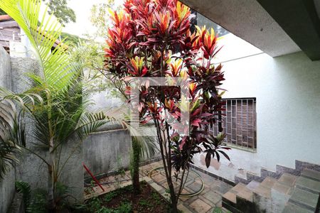 Casa à venda com 300m², 3 quartos e 2 vagasJardim