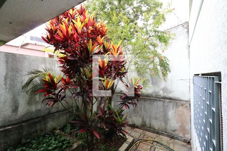 Casa à venda com 300m², 3 quartos e 2 vagasJardim