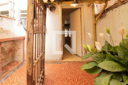 Casa à venda com 80m², 3 quartos e 1 vaga Casa à venda com 80m², 3 quartos e 1 vagaQuintal