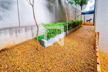 Studio para alugar com 24m², 1 quarto e sem vaga Studio para alugar com 24m², 1 quarto e sem vagaPet place