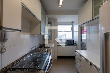 Cozinha de apartamento para alugar com 3 quartos, 116m² em Vale do Sereno, Nova Lima
