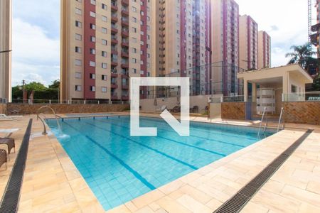 Apartamento para alugar com 70m², 3 quartos e 1 vaga Apartamento para alugar com 70m², 3 quartos e 1 vagaCondomínio - Piscina