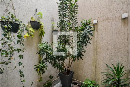 Casa à venda com 270m², 3 quartos e 4 vagas Casa à venda com 270m², 3 quartos e 4 vagasJardim de Inverno