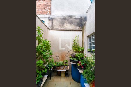 Casa à venda com 100m², 3 quartos e 2 vagas Casa à venda com 100m², 3 quartos e 2 vagasQuintal