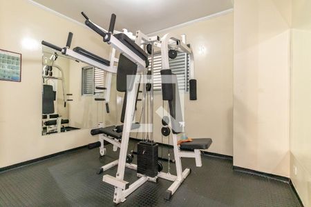 Apartamento à venda com 72m², 2 quartos e 1 vaga Apartamento à venda com 72m², 2 quartos e 1 vagaÁrea comum - Academia