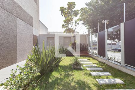 Apartamento para alugar com 38m², 2 quartos e sem vagaÁrea Verde