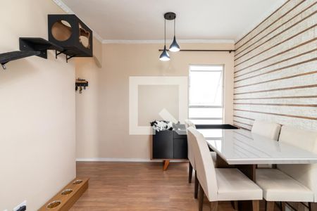 Sala de Jantar de apartamento para alugar com 2 quartos, 49m² em Parque Mandaqui, São Paulo