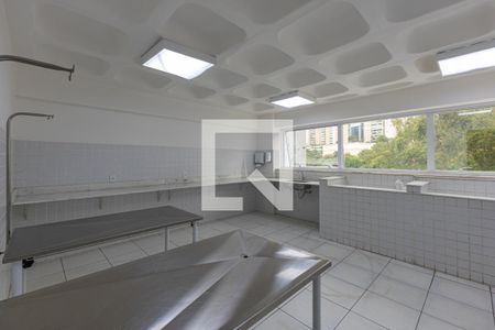 Apartamento para alugar com 54m², 1 quarto e 1 vagaÁrea comum - Espaço Pet