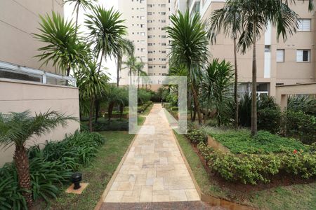 Apartamento para alugar com 79m², 2 quartos e 2 vagasÁrea comum