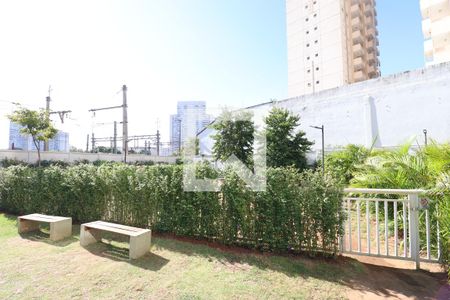 Apartamento para alugar com 27m², 1 quarto e sem vagaEspaço Pet