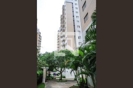 Apartamento para alugar com 62m², 3 quartos e 1 vaga Apartamento para alugar com 62m², 3 quartos e 1 vagaFachada