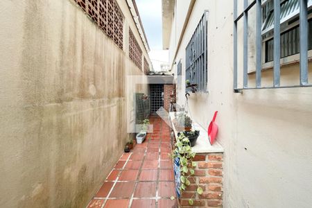 Casa à venda com 300m², 4 quartos e 2 vagasQuintal