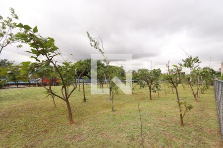 Apartamento para alugar com 39m², 2 quartos e 1 vagaÁrea comum - Pomar