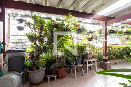 Casa à venda com 300m², 3 quartos e 3 vagasQuintal / Varanda