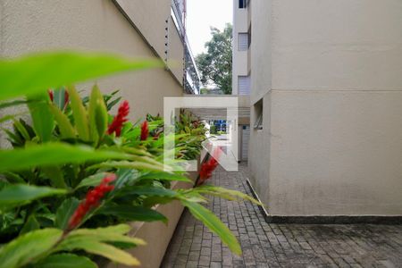 Apartamento para alugar com 40m², 1 quarto e 1 vagaÁrea comum