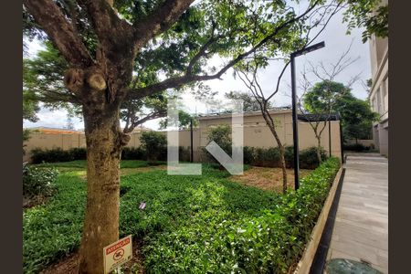 Apartamento para alugar com 58m², 3 quartos e 1 vagaJardim