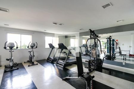 Apartamento à venda com 56m², 2 quartos e 1 vaga Apartamento à venda com 56m², 2 quartos e 1 vagaÁrea comum - Academia