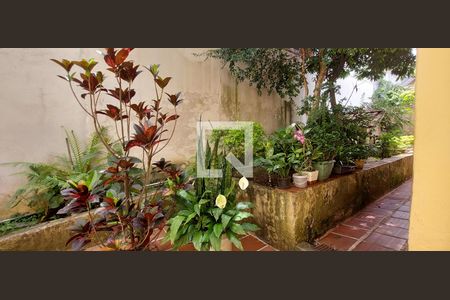 Casa para alugar com 400m², 4 quartos e 4 vagas Casa para alugar com 400m², 4 quartos e 4 vagasJardim