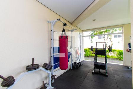 Apartamento à venda com 55m², 2 quartos e 1 vaga Apartamento à venda com 55m², 2 quartos e 1 vagaÁrea comum - Academia