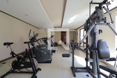 Apartamento para alugar com 30m², 1 quarto e sem vagaAcademia