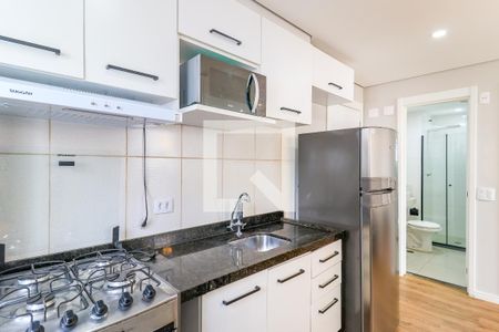 Cozinha de apartamento para alugar com 2 quartos, 34m² em Santo Amaro, São Paulo