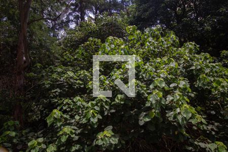 Varanda da Sala de apartamento à venda com 2 quartos, 40m² em Vila Pirituba, São Paulo