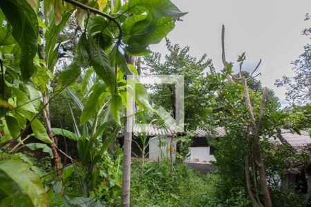 Casa à venda com 500m², 3 quartos e 1 vaga Casa à venda com 500m², 3 quartos e 1 vagaQuintal