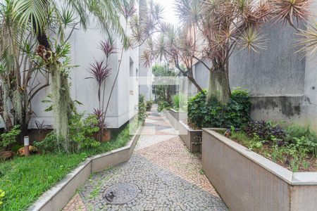 Área Verde de apartamento para alugar com 3 quartos, 99m² em Santo Antônio, Belo Horizonte