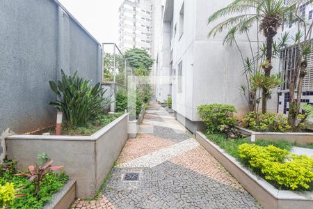Área Verde de apartamento para alugar com 3 quartos, 99m² em Santo Antônio, Belo Horizonte