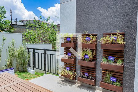 Apartamento para alugar com 38m², 2 quartos e 1 vaga Apartamento para alugar com 38m², 2 quartos e 1 vagaHorta comunitária