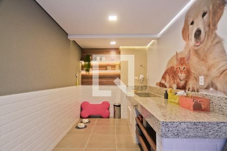 Apartamento para alugar com 32m², 1 quarto e sem vagaEspaço pet