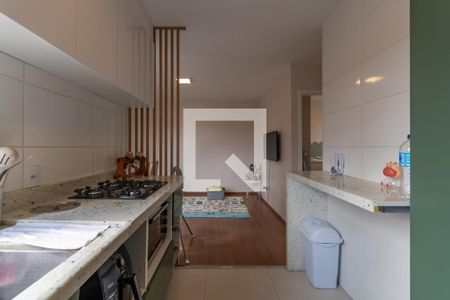 Cozinha de apartamento para alugar com 2 quartos, 44m² em Santa Branca, Belo Horizonte