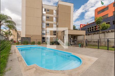 Área comum - Piscina de apartamento para alugar com 2 quartos, 44m² em Santa Branca, Belo Horizonte