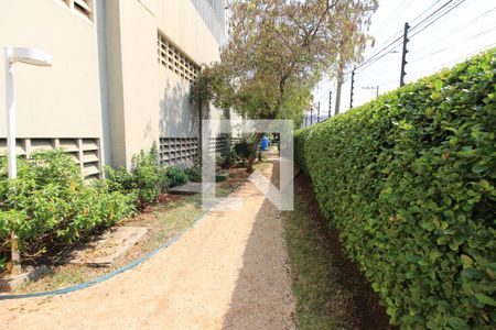 Apartamento para alugar com 82m², 3 quartos e 2 vagasÁrea comum
