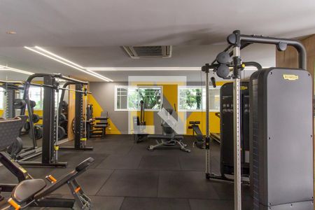 Apartamento à venda com 307m², 4 quartos e 5 vagasÁrea comum - Academia