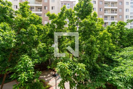 Apartamento à venda com 62m², 3 quartos e 1 vagaVista - Varanda