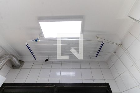 Lavanderia de apartamento para alugar com 3 quartos, 73m² em Vila Mascote, São Paulo