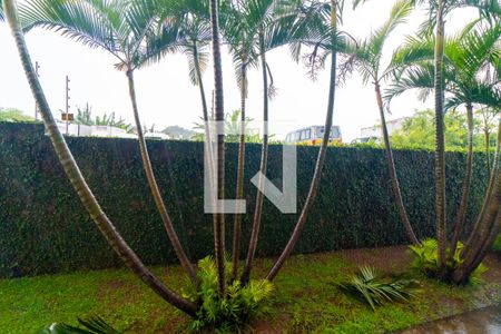 Vista da Sala de apartamento para alugar com 2 quartos, 52m² em Jabaquara, São Paulo