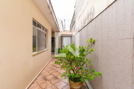 Casa à venda com 280m², 4 quartos e 2 vagasCorredor Externo