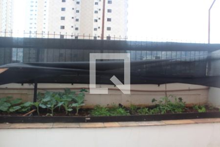 Apartamento à venda com 95m², 3 quartos e 2 vagasÁrea comum - Horta