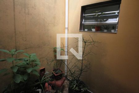 Casa à venda com 280m², 3 quartos e 3 vagasJardim de inverno