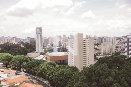 Apartamento para alugar com 519m², 5 quartos e 2 vagasVista do Quarto 1