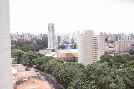 Apartamento para alugar com 519m², 5 quartos e 2 vagasVista do Quarto 2