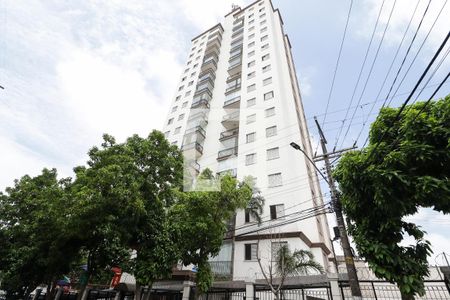Fachada de apartamento para alugar com 3 quartos, 83m² em Vila Amélia, São Paulo