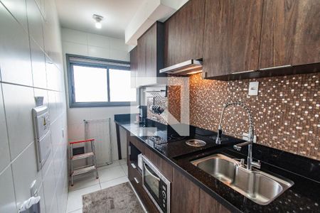 Cozinha de apartamento para alugar com 1 quarto, 30m² em Vila Dom Pedro I, São Paulo