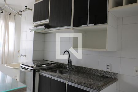 Apartamento para alugar com 42m², 2 quartos e 1 vagaCozinha - Armários